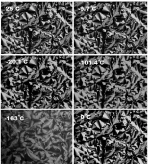 Figure 3. POM images of 48.7 w/w% ZnX -C 12 EO 10 at 25, -9.7, -20.1, -101.4, and -163 °C during cooling and after heating to 0 °C.