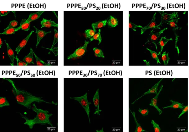 FIGURE 5. SEM images exhibited morphologies of Saos-2 cells on polymer thin films with various PPPE (EtOH) and PS (EtOH) compositions 48 h post-seeding.