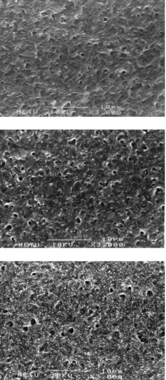 Figure 3 A composite SEM of untreated and oxygen plas- plas-ma-treated PHBV8 ﬁlms: (a) untreated; (b) treated with 50 W for 10 min; (c) treated with 100 W for 20 min.