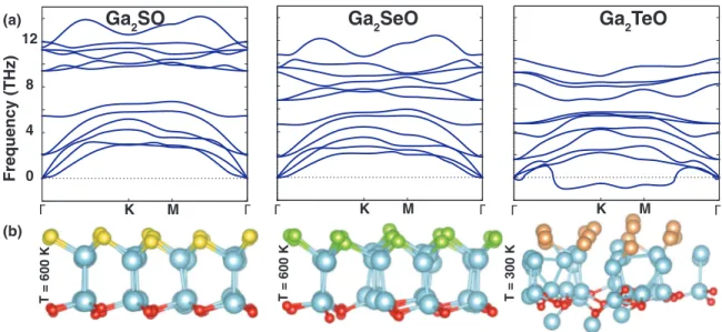 FIG. 2. (a) Phonon band structures and (b) snapshots of ab init io molecular dynamics simulations of Ga 2 SO, Ga 2 SeO, and Ga 2 TeO monolayers.