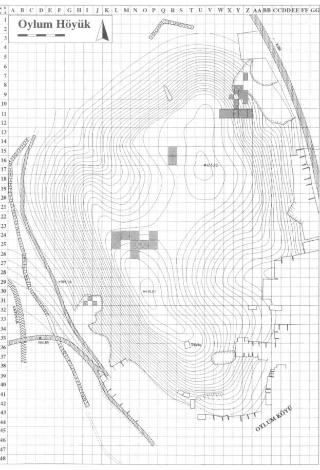 Abb. 1  :  Oylum Hôyiik 1998. Topographischer Plan mit Grabungsflâchen. 