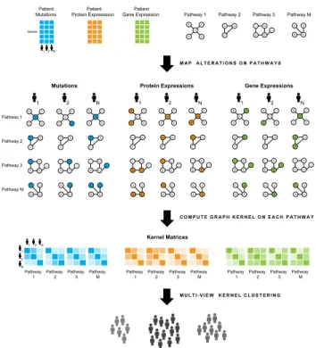 Figure 3.1: The figure shows the PAMOGK framework. Different colors show different types of omic data