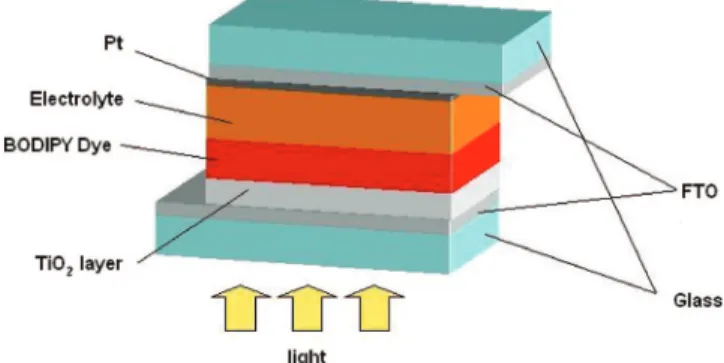 Figure 3 . Schematic representation of the frontier orbitals (left, HOMO; right, LUMO) of compound 2 computed at the B3PW91/