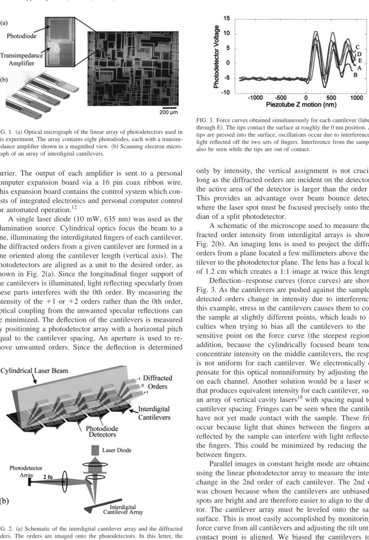 FIG. 1. 共a兲 Optical micrograph of the linear array of photodetectors used in this experiment
