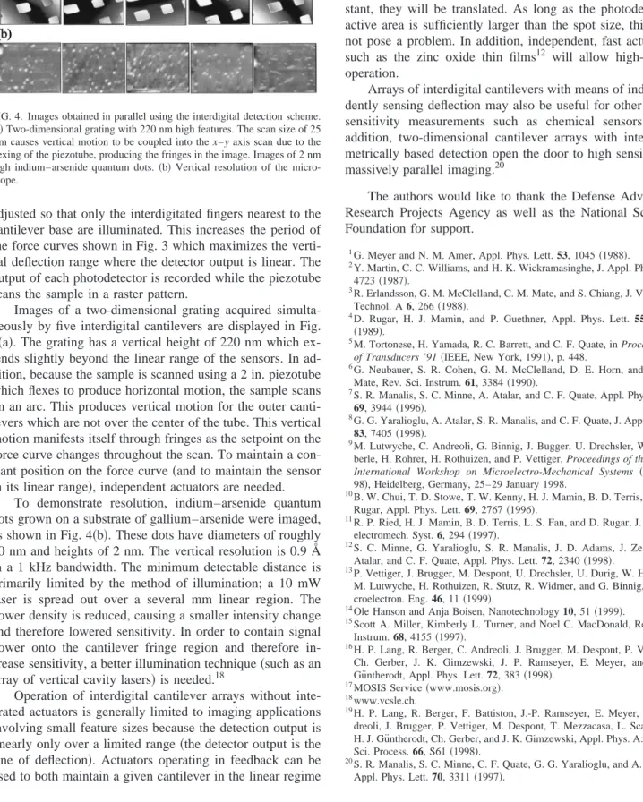 FIG. 4. Images obtained in parallel using the interdigital detection scheme.