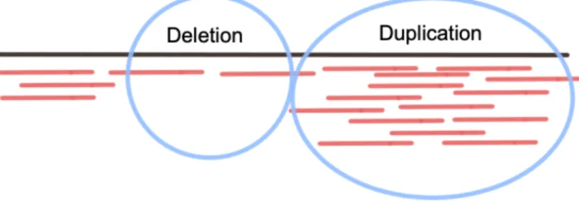 Figure 2.2: Structural variation discovery with read depth.The depth of regions that are duplicated will be higher and the depth of regions that are deleted will be lower than expected depth.