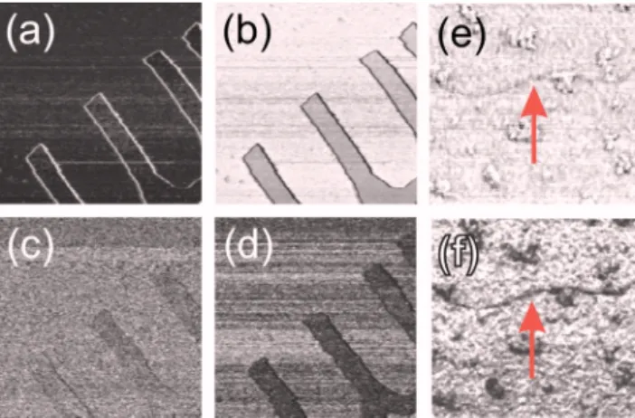 FIG. 3. 共Color online兲 Material contrast observed through PUC in the at- at-tractive regime on PMMA patterns on silicon