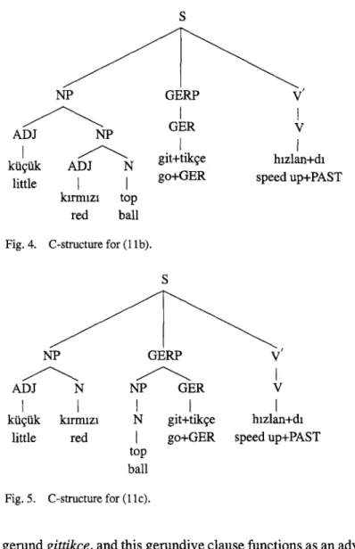 Fig. 4.  C-structure for (llb). 
