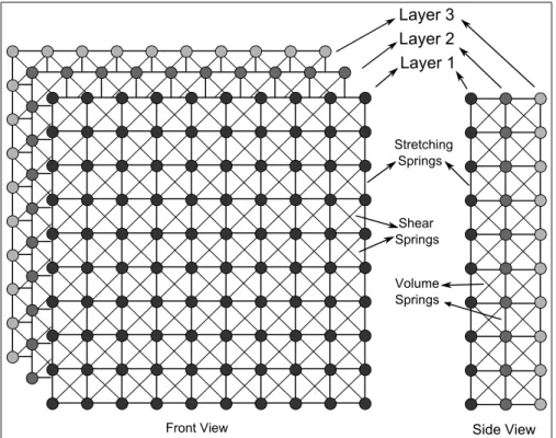 Figure 4.3: Mass-spring structure of our knitwear model. To simulate the thick- thick-ness of knitwear, the layers are connected by volume preserving springs.