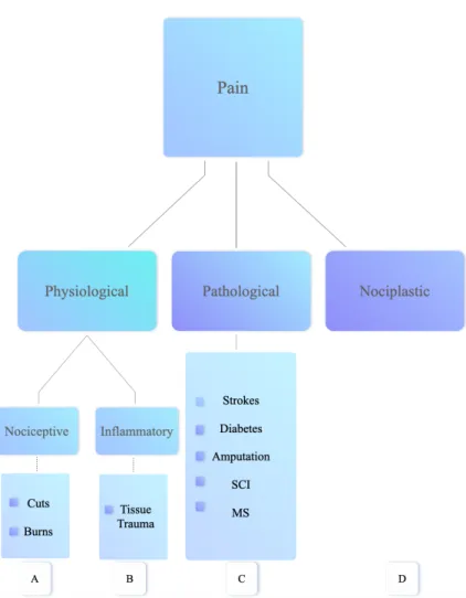 Figure 1. The classification of pain based on causes. Mainly, there are three  kinds of pain: physiological pain, pathological pain, and nociplastic pain