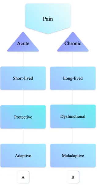 Figure 2. The classification of pain based on persistency. 