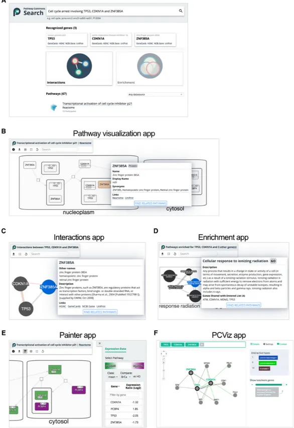 Figure 3. Pathway Commons web apps. (A) Search provides integrated access to the entire collection of pathways and interactions in Pathway Commons.