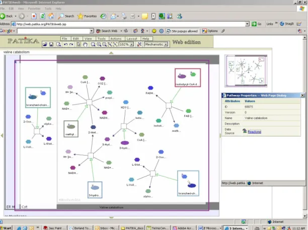 Figure 3.5: User interface of Patikaweb.