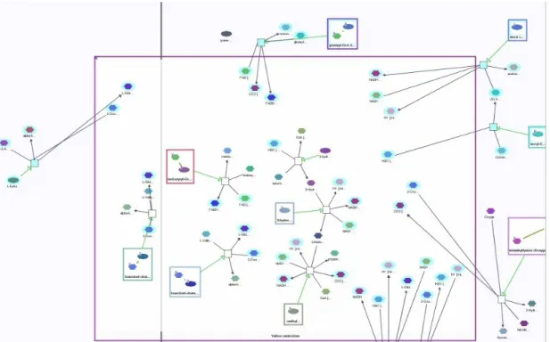 Figure 3.8: Abstractions in Holo and Expanded states