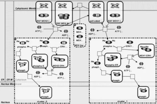 Figure 2. Part of a MAP kinase pathway where two clusters are shown using compound nodes