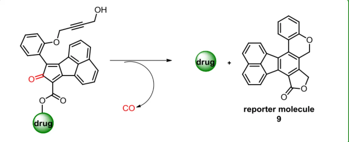 Figure 5. Example of a fluoranthene in drug delivery. 