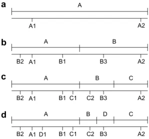 Fig. 2. Hashline states during network formation.