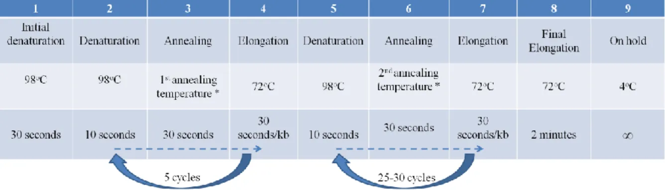 Figure  2.2:  Reaction  conditions  of  Polimerase  Chain  Reaction  with  Q5  polymerase  in  case  primers  with long overhang regions are used 