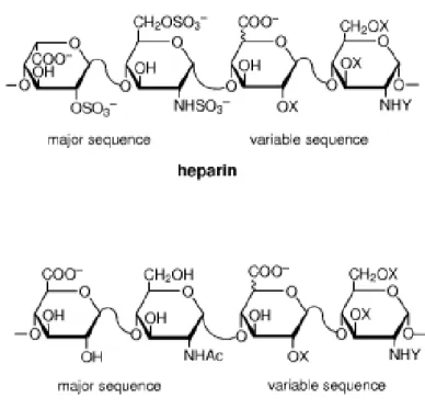 Figure  1.5.  Chemical  structure  of  heparin  and  heparan  sulfates  showing  major  and  minor disaccharide repeating units