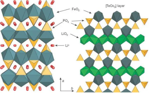 Figure 1.2. The crystal structure of olivine phases LiFePO 4  in projection along  [001]  (Reprinted  with  permission  from  Macmillan  Publisher  Ltd:  [2],  copyright  2008)