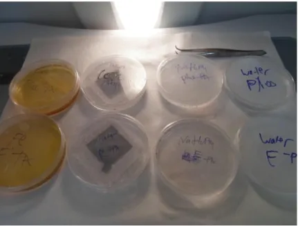 Figure 2.4. The preparation of template-directed FePO 4  materials. 