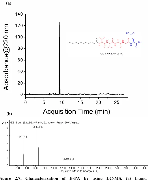 Figure  2.7.  Characterization  of  E-PA  by  using  LC-MS.  (a)  Liquid  chromatogram of PA by the absorbance at 220 nm, and (b) mass spectrum of  E-PA