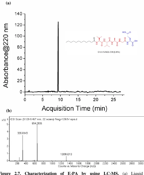 Figure  2.7.  Characterization  of  E-PA  by  using  LC-MS.  (a)  Liquid  chromatogram of PA by the absorbance at 220 nm, and (b) mass spectrum of  E-PA