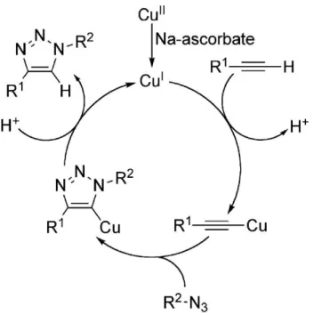 Figure  2.1.2  A  possible  reaction  mechanism  proposed  for  [3+2]  Huisgen  cycloaddition  reaction  (Adapte  with  permission  from  Ref.[129]  Copyright  (2016)  American  Chemical  Society 