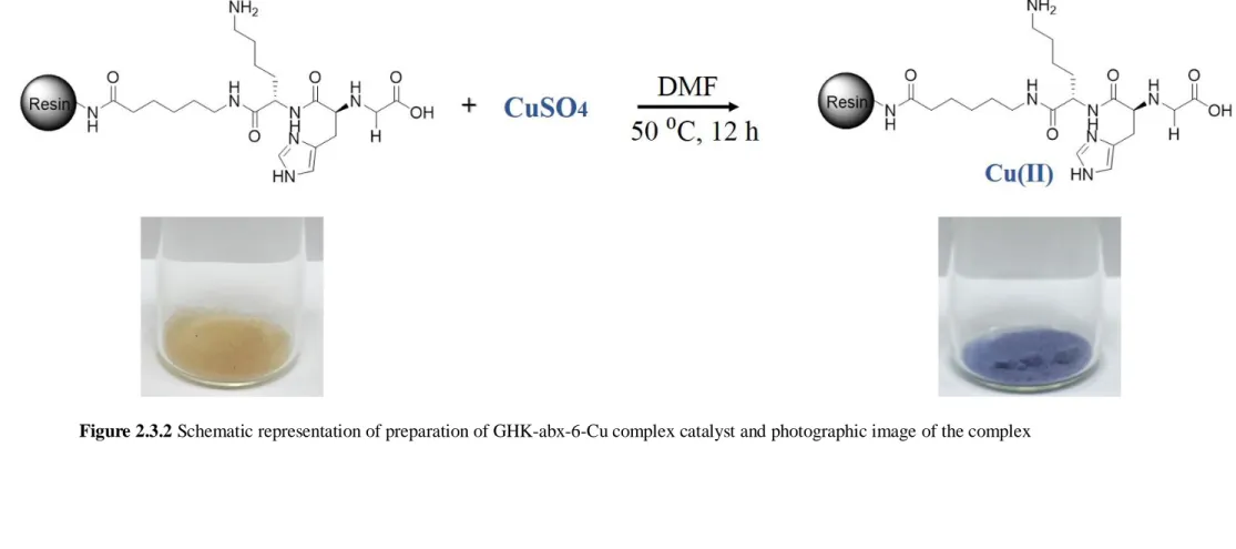 Figure 2.3.2 Schematic representation of preparation of GHK-abx-6-Cu complex catalyst and photographic image of the complex