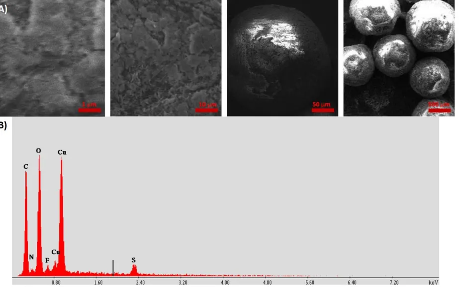 Figure 2.3.3 A) SEM images of PS-GHK-6-abx-Cu(II) complex, B) EDX Studies conforming the presence of Cu(II) on beads 