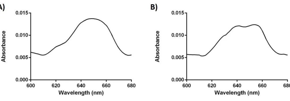 Figure 2.3.7 UV-VIS spectra of GHK-6-Cu catalyst in DMF A) before use, B) after use. An absorption peak around 650 nm which is assigned to Cu 2+ - -imidazole complex
