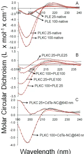 Table 2. Secondary Structure Elements of Individual Peptides, Peptide Pairs, and Peptides Interacting with CdTe QDots