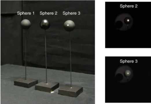 Figure A4 . Spheres used in Control Experiment 2 and for luminance measurements.
