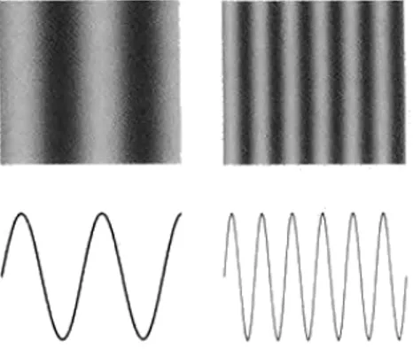 Figure 2.9: Sample stimuli and the luminance oscillation profiles