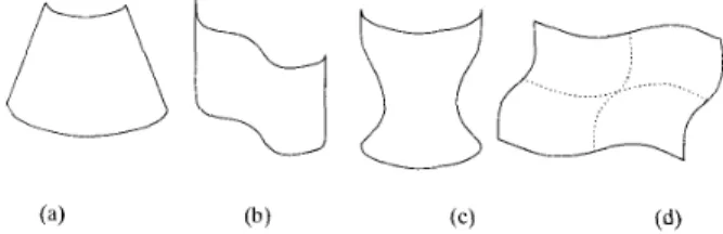 Fig.  7.  Examples  of  case  I1  surfaces:  (a)  and  (b)  are  ZGC  surfaces  and  ( e )  and  (d)  are doubly  curved  surfaces