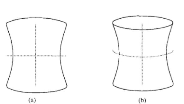 Fig.  8.  ZGC  surface cut  along  the  “ruling.” 
