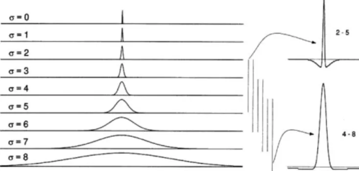 Fig. 4 shows a pair of intensity contrast maps and their difference. In this ﬁgure, brighter regions in the intensity contrast maps show the parts with greater intensity contrast