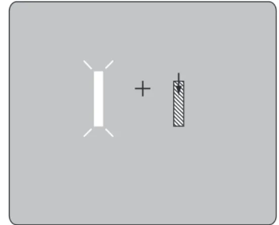 Fig. 22.6 Stimulus conditions for Experiment 2. A stationary line (textured rectangle) that either expanded (left panel) or contracted smoothly in length (right panel) was presented 1 deg to the right (from the center of the fixation cross to the horizonta