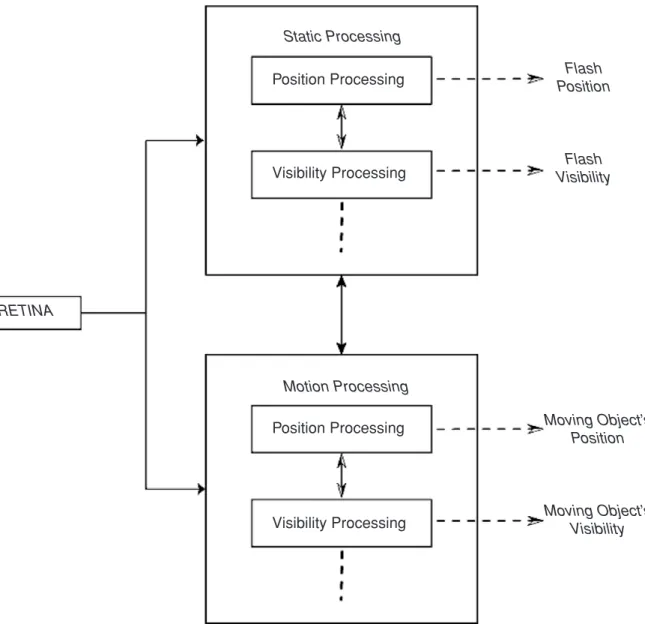 Fig. 22.1 The architecture of the dual-channel differential latency model. Static and moving stimuli are processed in different subsystems