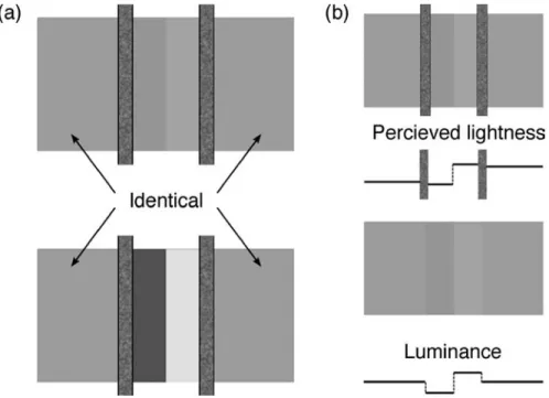 Figure 1 . The “lightness effect”. (a) Perceptual grouping through amodal completion affects lightness