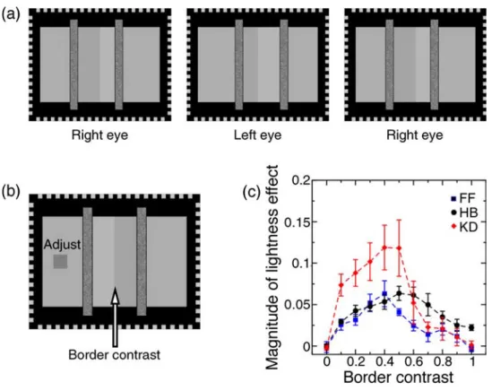 Figure 2 . Behavioral measure of the lightness effect. (a) Stereo image pairs. Left pair for crossed fusion, right one for uncrossed fusion.