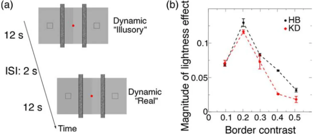 Figure 3 . Behavioral measure of dynamic lightness effect in 2D. (a) Experimental design