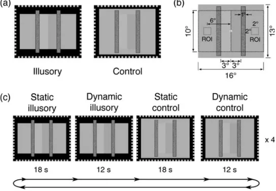 Figure 4 . FMRI measure of the lightness effect. (a) Stimuli used in the experiment. The stimuli in the illusory and control conditions were identical except that in the control condition we added gray bands with the mean luminance below and above the occl