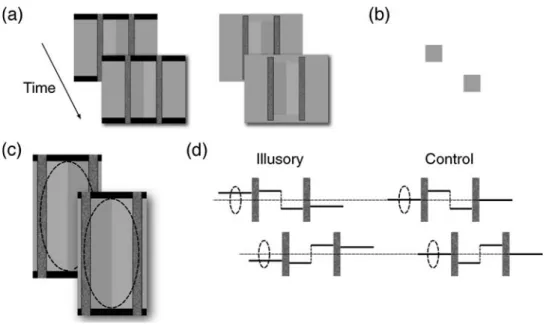 Figure 6b shows a summary of results, where we averaged the signal for each condition from 3rd to 6th time points (6th to 12th s)