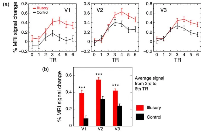 Figure 6 . FMRI results. (a) Time course of activity in V1, V2, and V3 averaged across observers