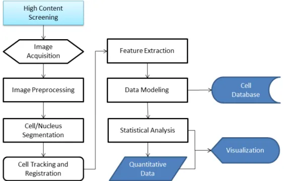 Figure 2.2: High content screening pipeline, which consists of image acquisition, image preprocessing, cell/nucleus segmentation, cell tracking and registration, feature extraction, data modeling and storage, statistical analysis, and  visualiza-tion.