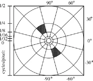 Figure 2.2: Cortex Transform - Decomposition of the image into radial and orien- orien-tation selective channels (frequency values estimate the center frequency of each frequency band.) (Image from [47], c 
 2000 IEEE, reprinted with permission.)