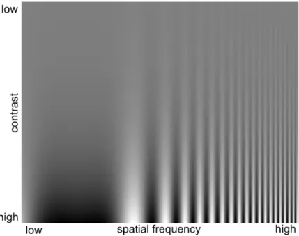 Figure 2.3: Contrast sensitivity at various spatial frequencies. (Figure adapted by the author from [49])