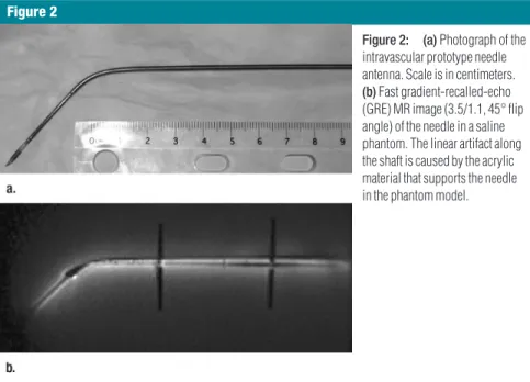 Figure 2: (a)Photograph of the intravascular prototype needle antenna. Scale is in centimeters.