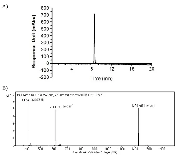 Figure 2.4. Liquid chromatography (A) and mass spectrometry (B) analysis of GAG- GAG-PA